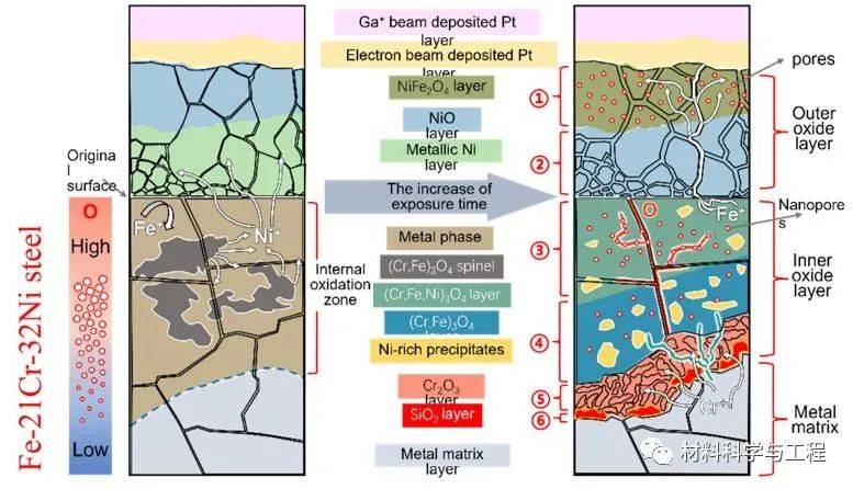 合金|上海交大《Acta Materialia》：高Cr-Ni合金在高温水蒸汽中耐腐蚀原理