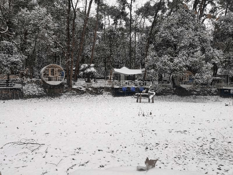 美得|花溪的绝美雪景，让您“醉”在如梦如幻的“人间仙境”里