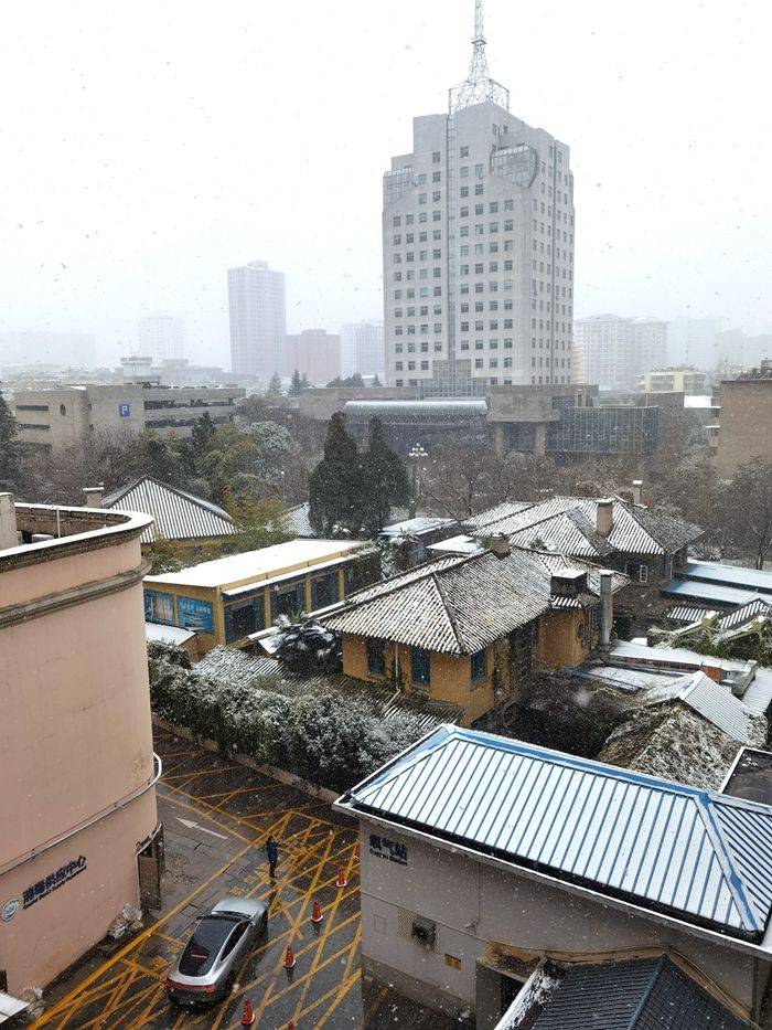 日子|昆明下雪了！春城的雪景真美丽！