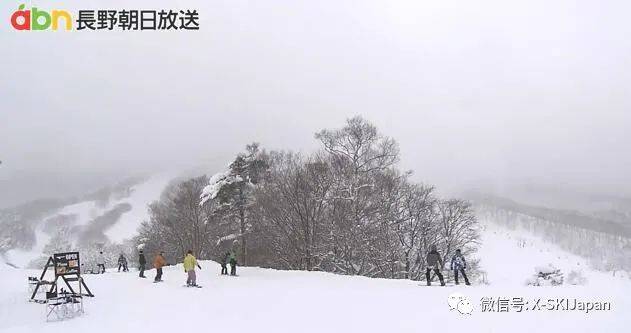 日本暴雪致滑雪圈事故多发!谈球吧体育 多名雪友丧命滑雪途中(图1)