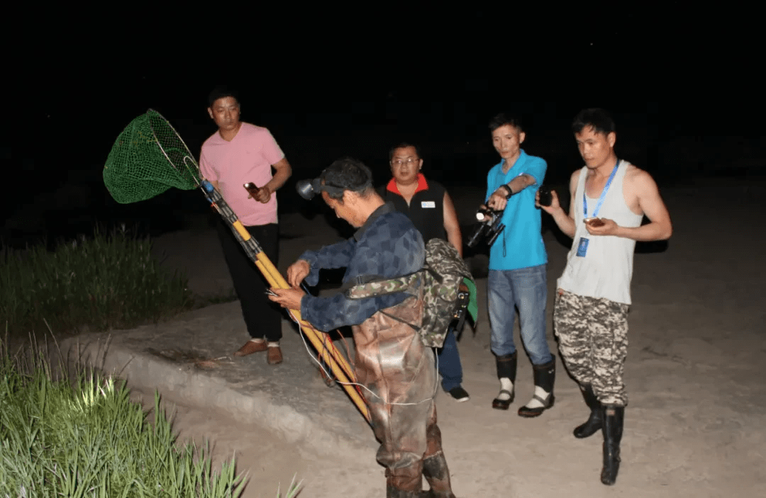 原创20年还未禁绝江苏又有人电鱼1万多斤电鱼的危害究竟有多大