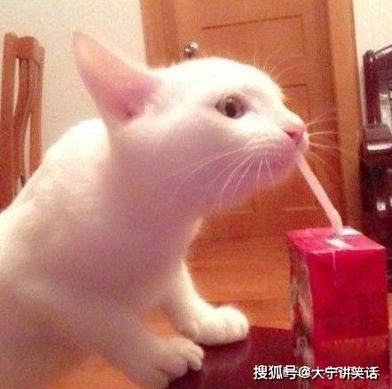 新生|搞笑GIF：想学好美容美发，你需要先练好功夫