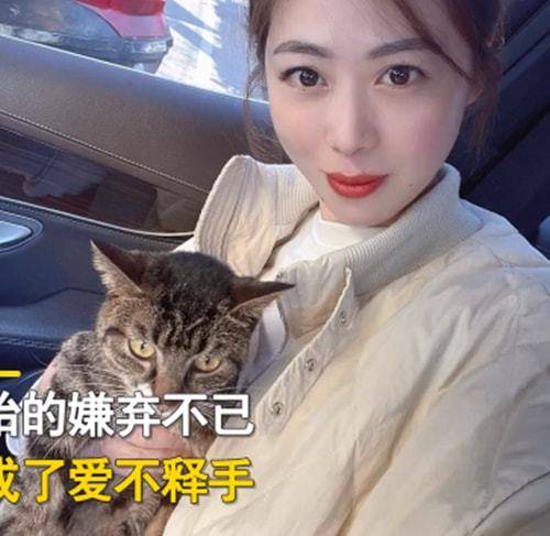 猫咪妻子坚决不同意养猫，隔了几天后却变了个人：完全沦陷了呀