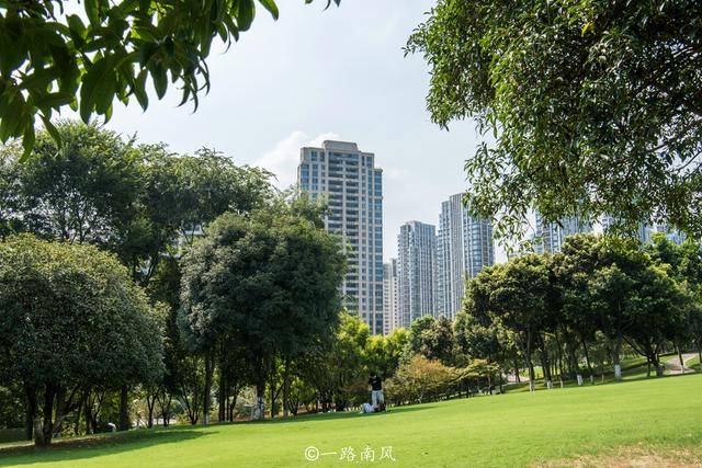 海德公园|重庆旅行，实拍亚洲最大的中央公园，景色优美还免费开放