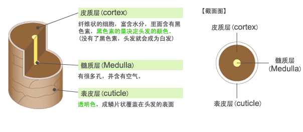 头皮星品顺膏丨头发干枯、毛躁？试试这款网红爆款顺膏，让你秒变小仙女