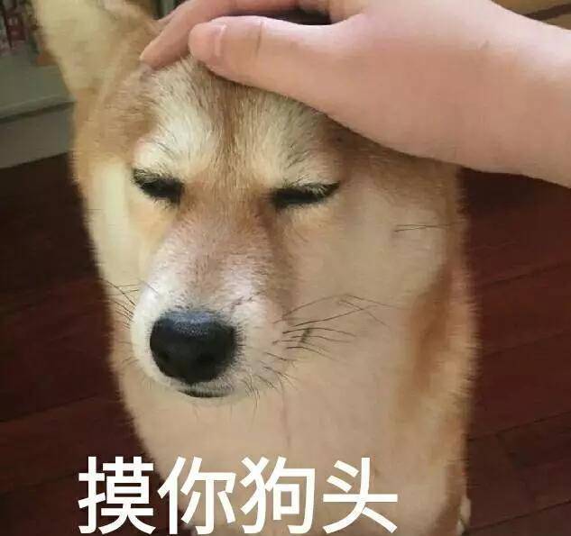 什么|陈乔恩好不容易谈个恋爱,还被自己粉丝搞?