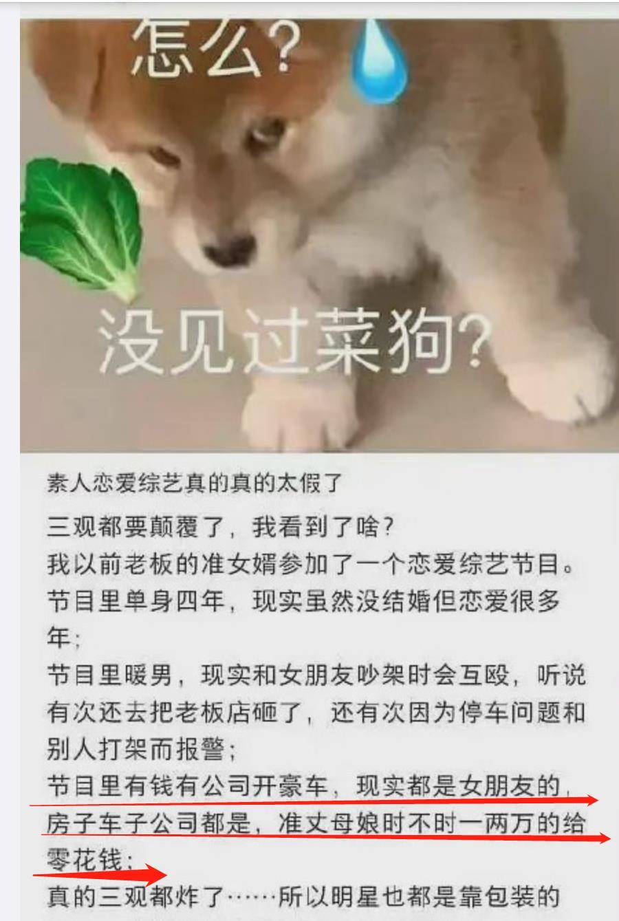 俞悦|《半熟恋人》：罗拉又被渣男骗了，好膈应