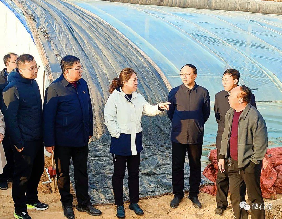 石楼王芳开展入企进村服务工作