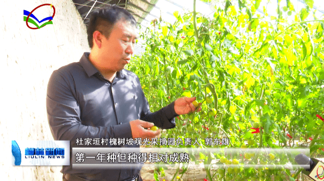 游客|柳林杜家垣：踏春好时节 近郊采摘乐