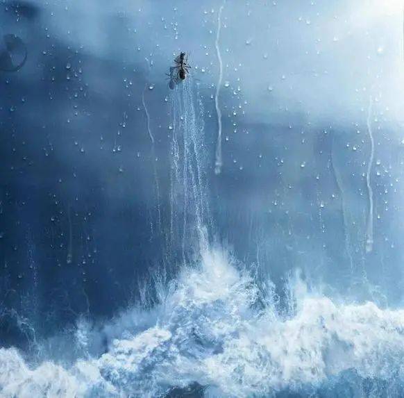 尽管人生如蝼蚁般渺小,也都是笨小孩,但坚持不懈地努力,终将会有属于