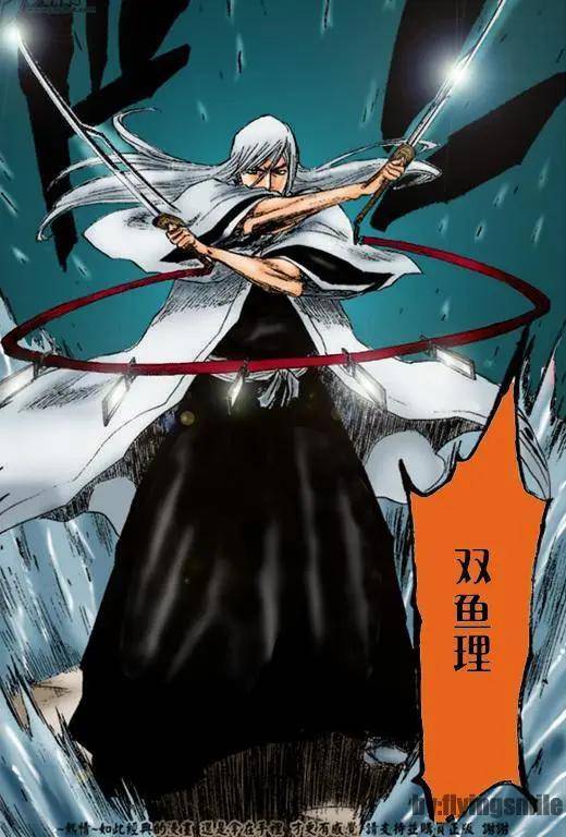 死神bleach 那些成双成对的斩魄刀最后一对自带bug 无人能敌 花天 始解 锁链