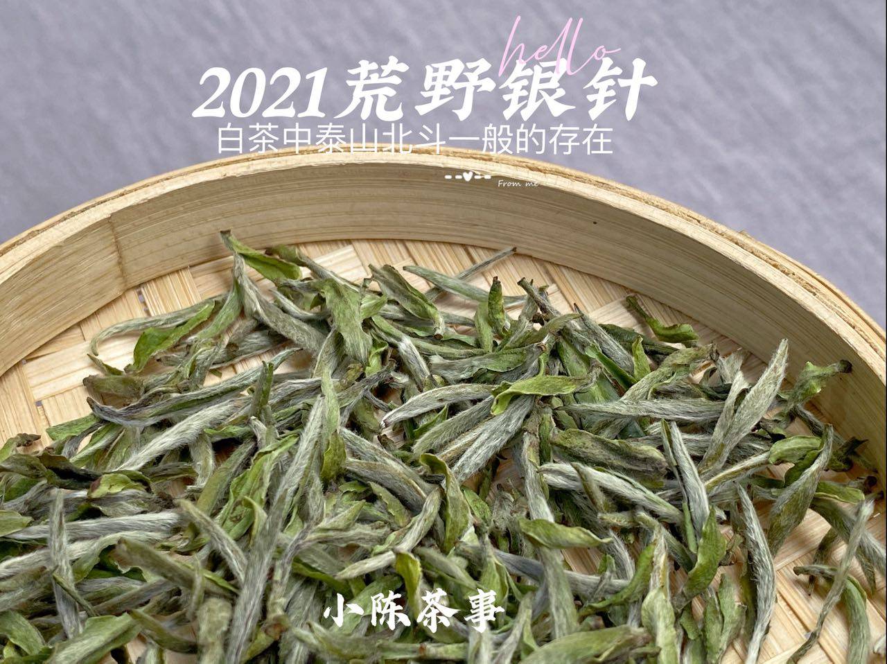 因为|春白茶尚未采摘，可你对春茶的了解有多少？这3个常识要记清