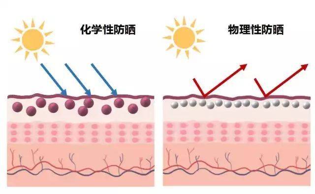 缺点关于防晒成分的冷知识，你了解吗？