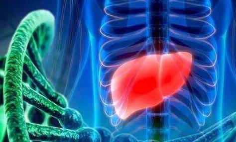 肝脏|身体这5个异常，可能是肝病到来前的信号，有的朋友注意了！