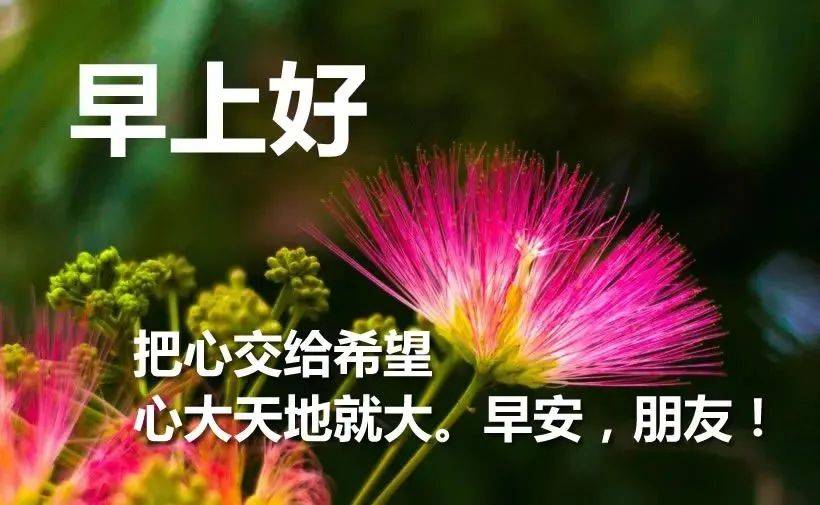 原创春天来了朋友圈最新早上好漂亮问候表情图片新的一天早晨好祝福语