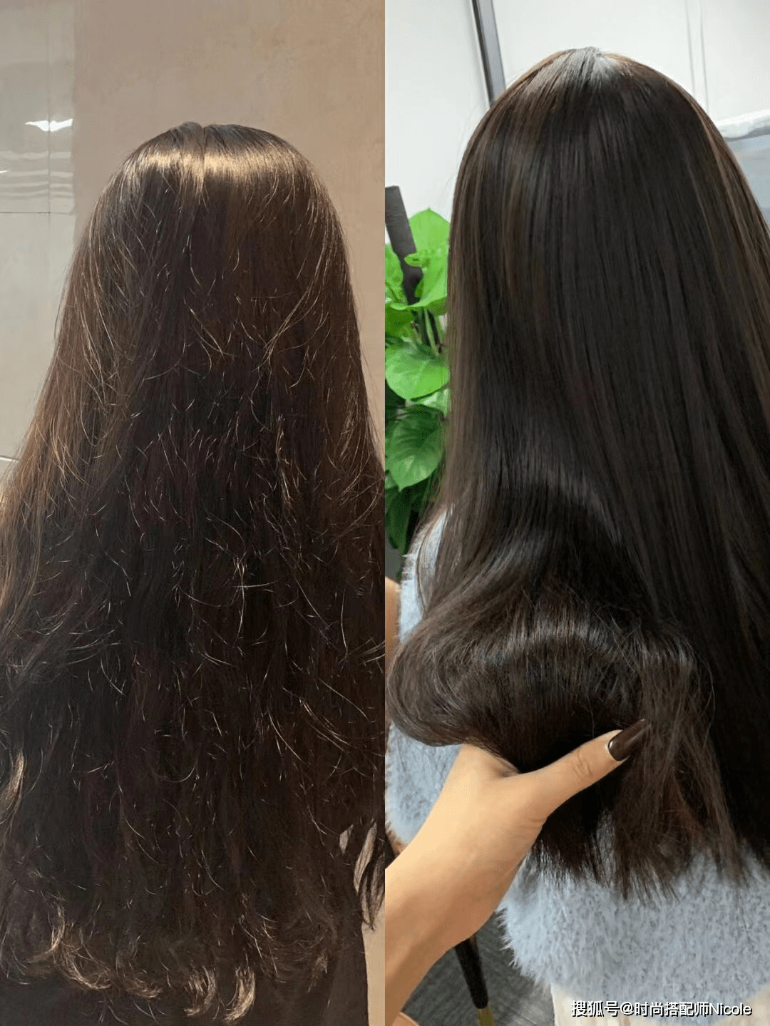 Nicole最近流行的倒叙洗头法：先涂护发素，再洗头，效果到底咋样？