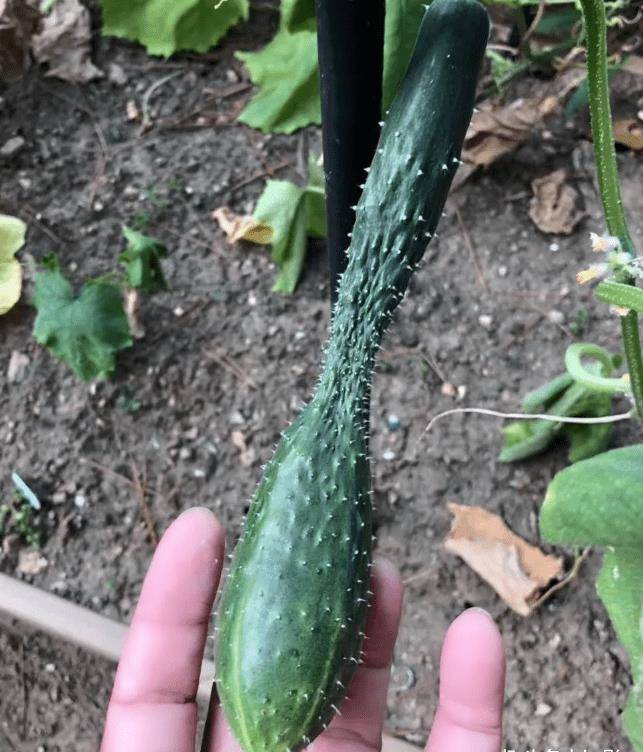 电影|《色戒》上映15年后,才发现汤唯和梁朝伟的付出,远超你的想象