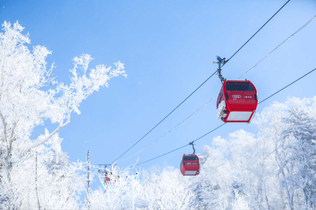 吉林|大数据不骗滑雪人，东北打卡榜前三全在吉林！