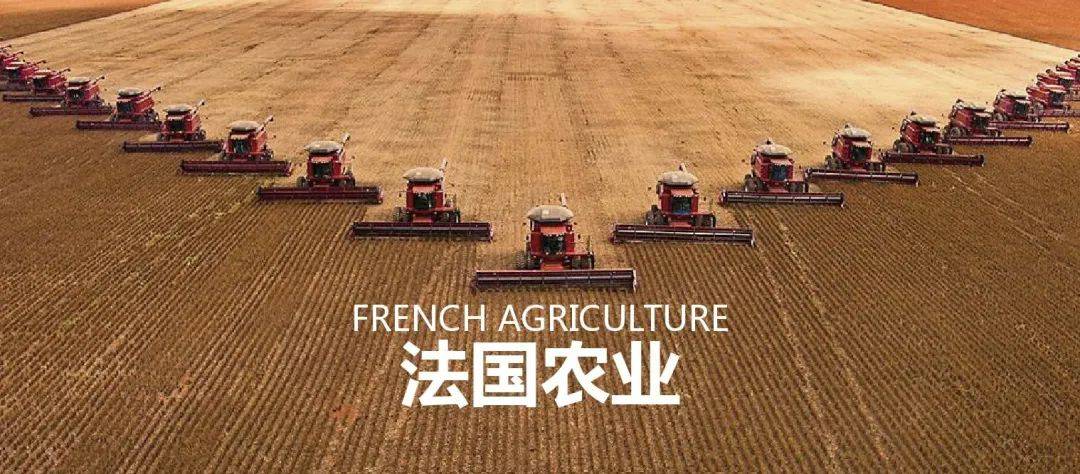 法国农业 欧盟农业大国 靠这6大策略制胜市场 政府 土地 机械化