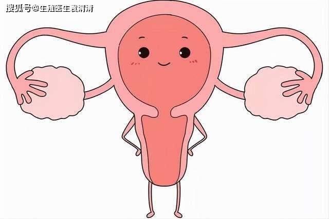 单角子宫试管成功率高吗