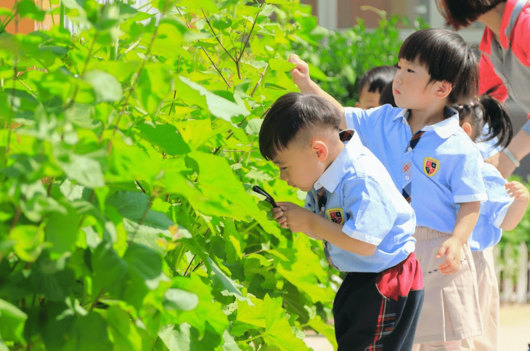 安全感|宝宝上幼儿园哭闹？了解分离焦虑3个阶段7招预防，育儿十全十美