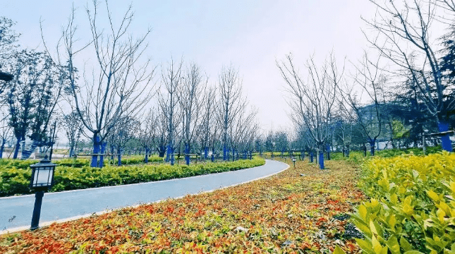 滁州苏州公园图片