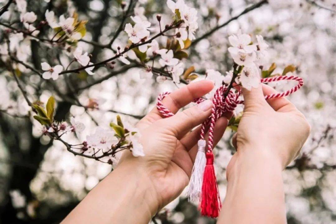 地区摩尔多瓦之春：一个充满和平与希望的季节