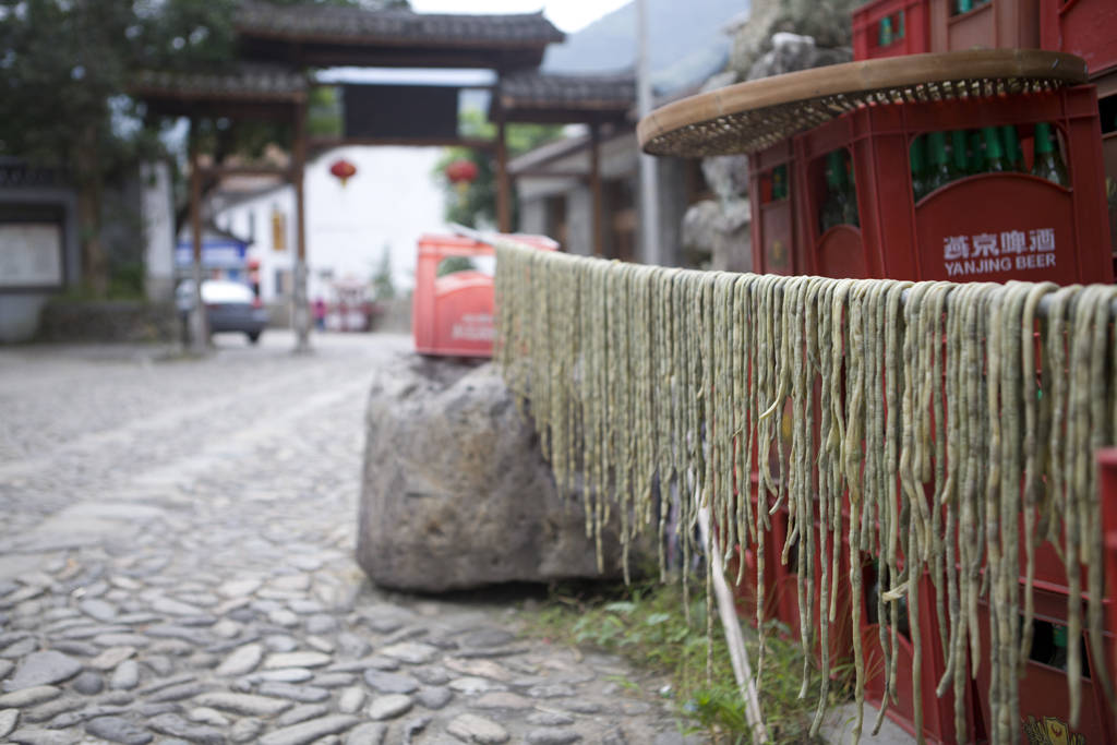 项目|浙江有个少数民族县，乡村特色旅游搞得好，城里人纷纷来度假