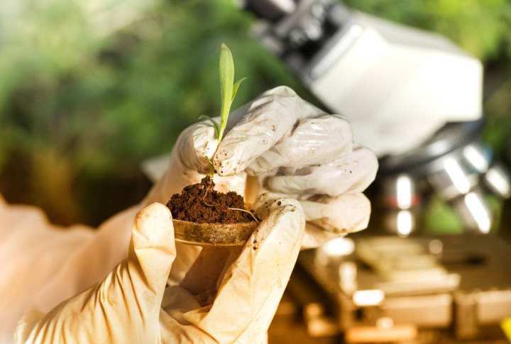 技术|一个纳米机器人的世界：清污水，造房子，帮助人类永生？