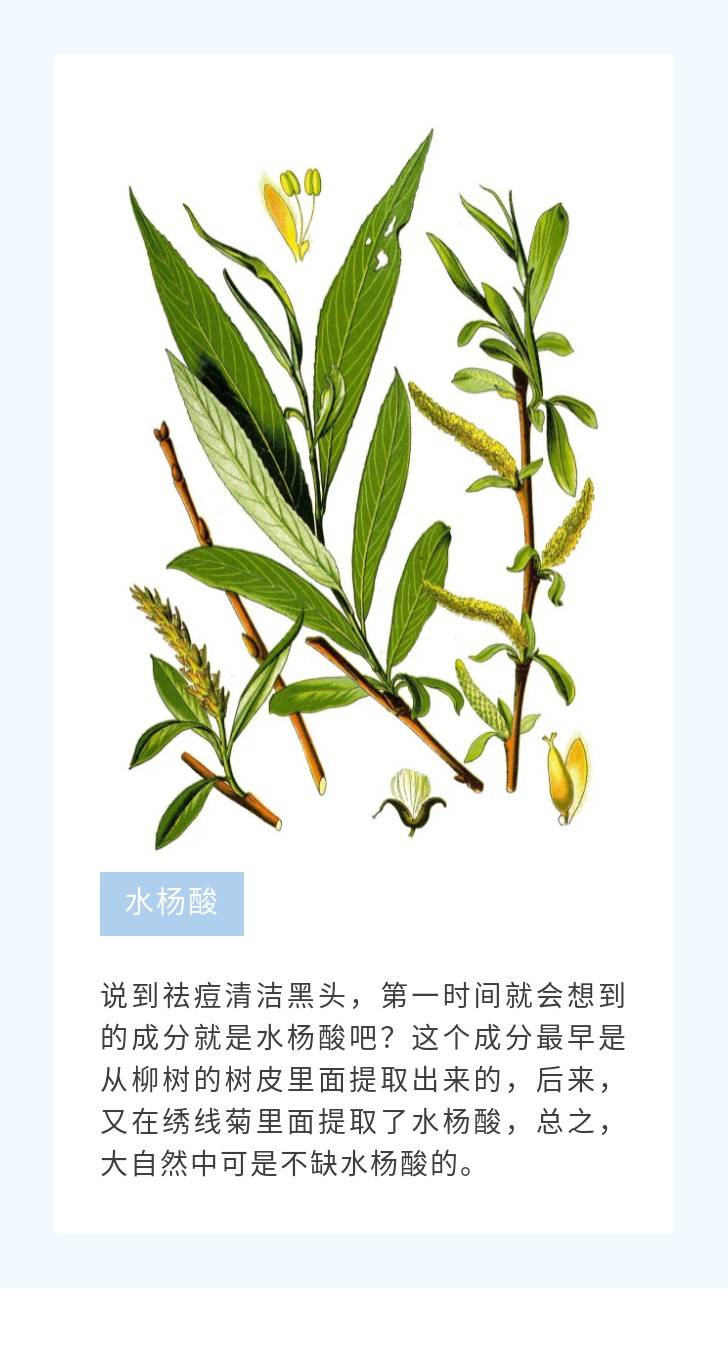 参考价格植物护肤品，植物提取物，怎么又成智商税了？