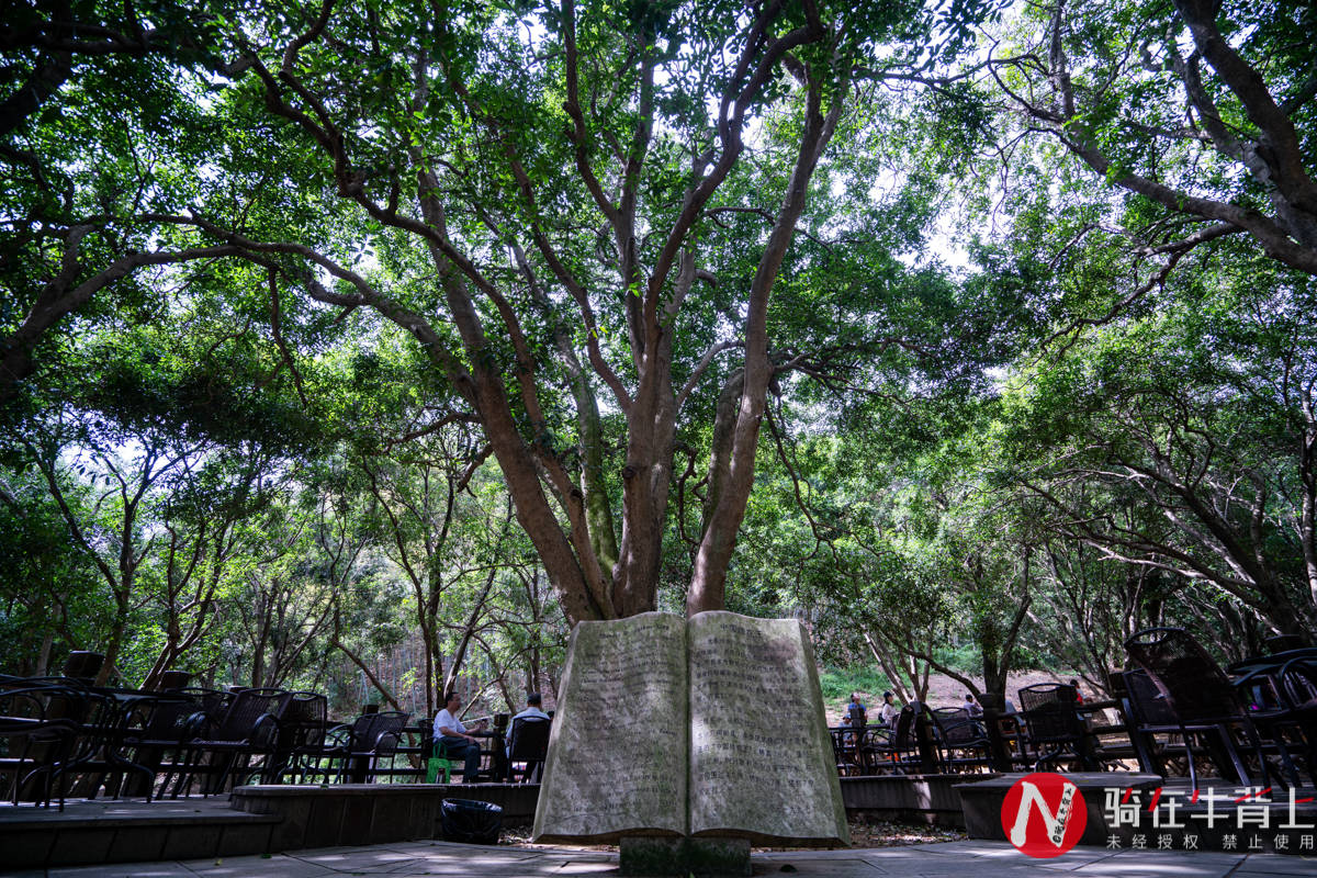 景区|杭州周边游好去处，绍兴小众游，抛掉城市的嘈杂体味深山的静谧