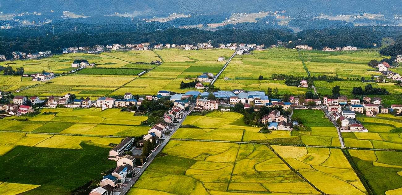 湖北江汉平原区域发展进入到了深水区_荆门_荆州_城市