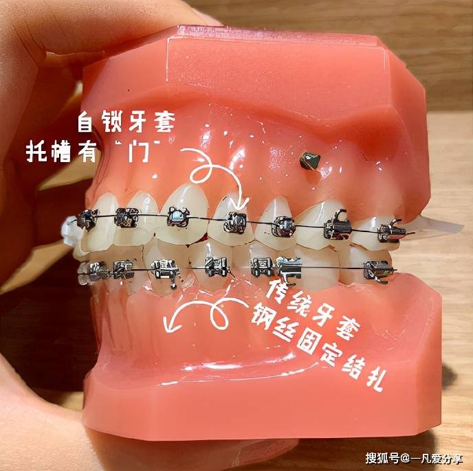 文章配图-11
