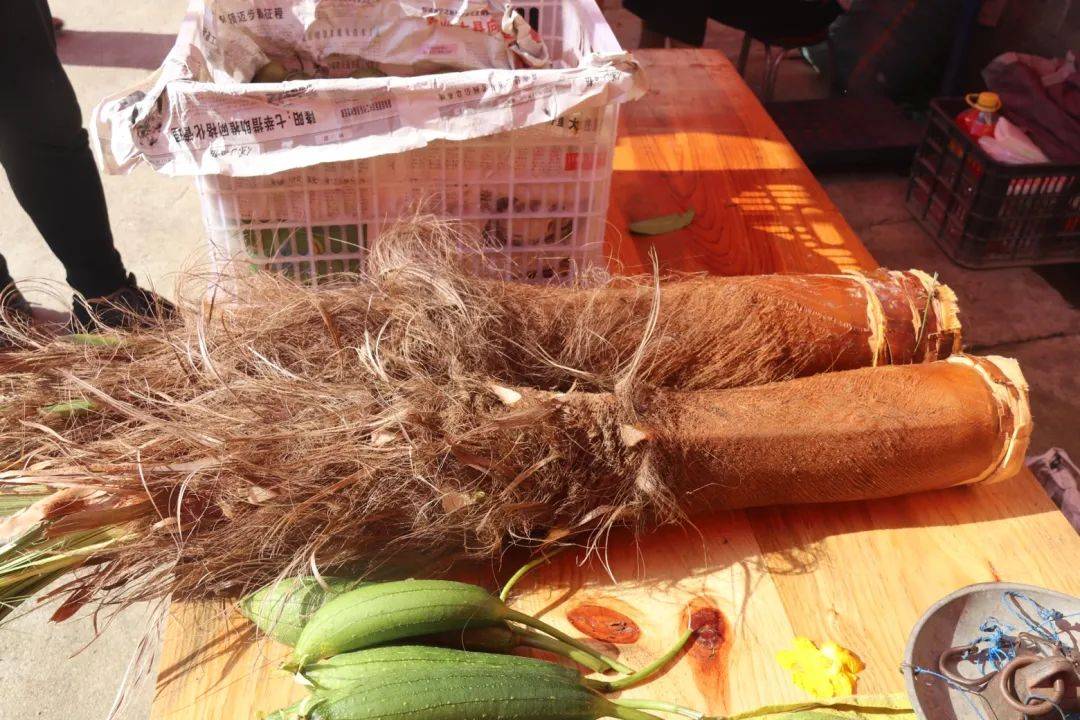 一年四季盛产棕包米,棕包头,其微苦甘甜,鲜嫩脆爽,是腾冲市棕包中的