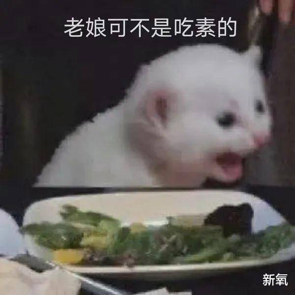 血管比姨妈来得还准的春季综合症，烂脸还算是轻微的？