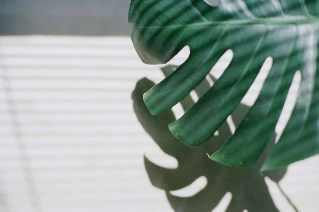 缘分|微信里：当一个人不删除也不拉黑你……缘分尽了，不删除是出于礼貌，不联系