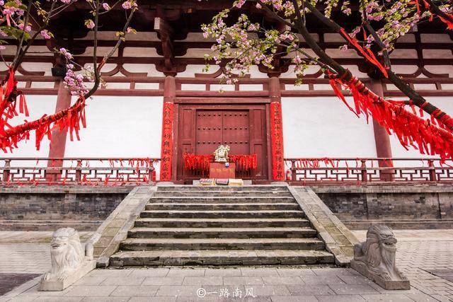 长安城|西安青龙寺，中国十大赏樱胜地之一，春天梦幻唯美还免费开放