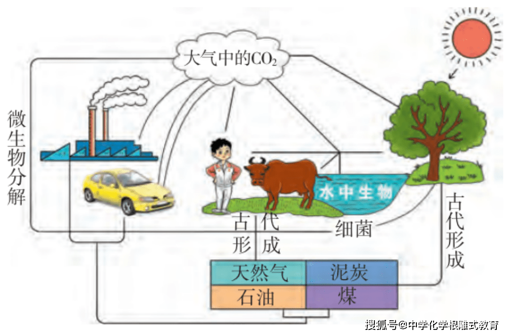 大力植树造林,严禁乱砍滥伐;采用物理或化学方法,人工吸收co2等;倡导