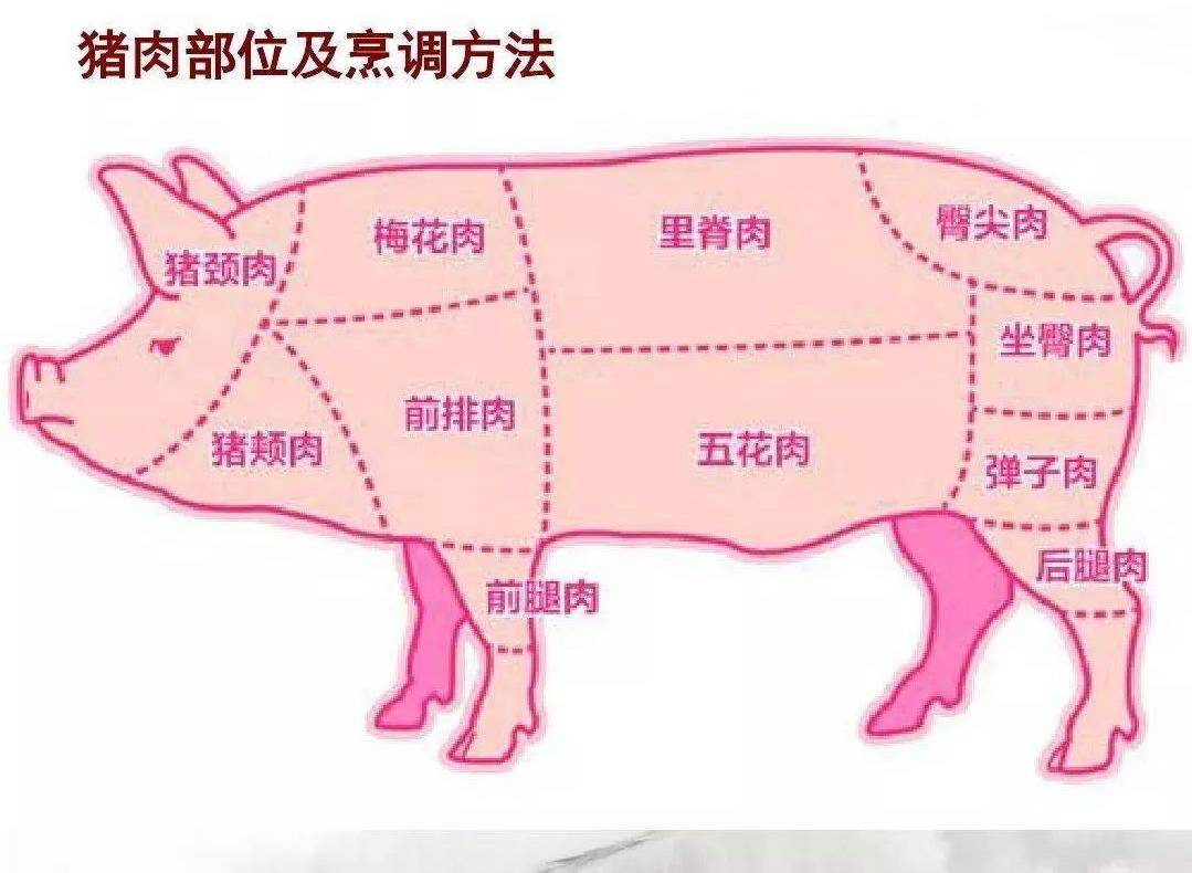 原创买猪肉时有人专买这4个部位猪肉贩说这次遇到行家了