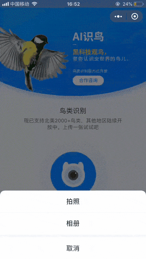 原创鸟类智能识别系统助力自然保护地鸟类监测