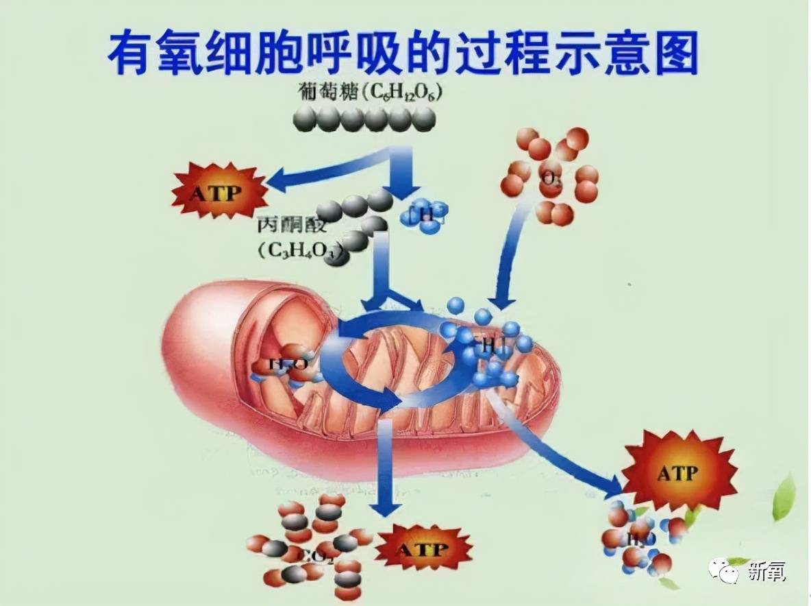性敏感感受到春天来的幸福了吗？还是换季过敏在家不敢出门？