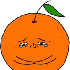人脸橘子表情包图片