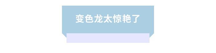 Natasha变色龙眼影，好家伙，好看到不知道怎么用！