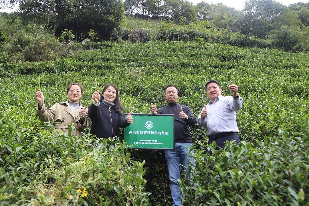 原料神农架珍稀系列将亮相美博会——天玺国际探索肌肤鲜活“肌”密