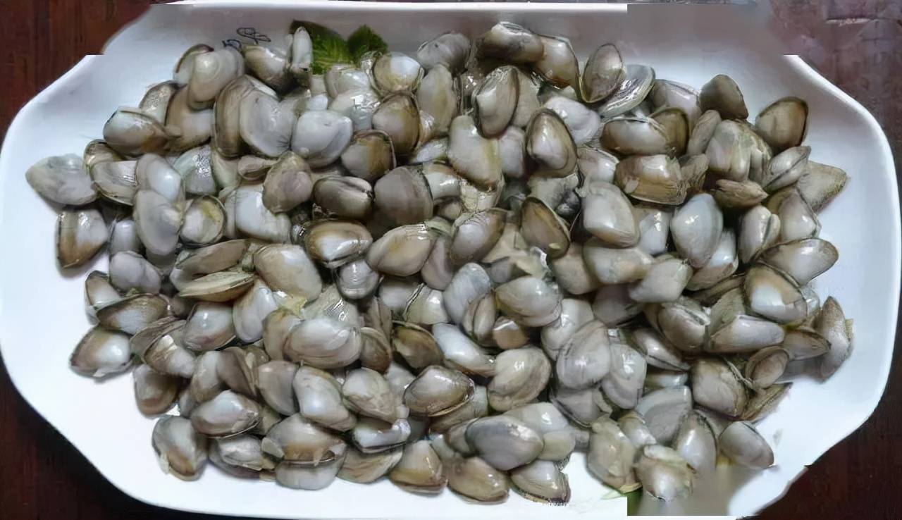 营口最好吃的菜有哪些这些特产海鲜带你品尝本土美食