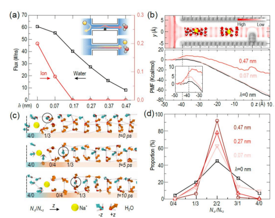 中国科学家发现受限水罕见类量子行为，将为研究水伏能源提供理论支撑。