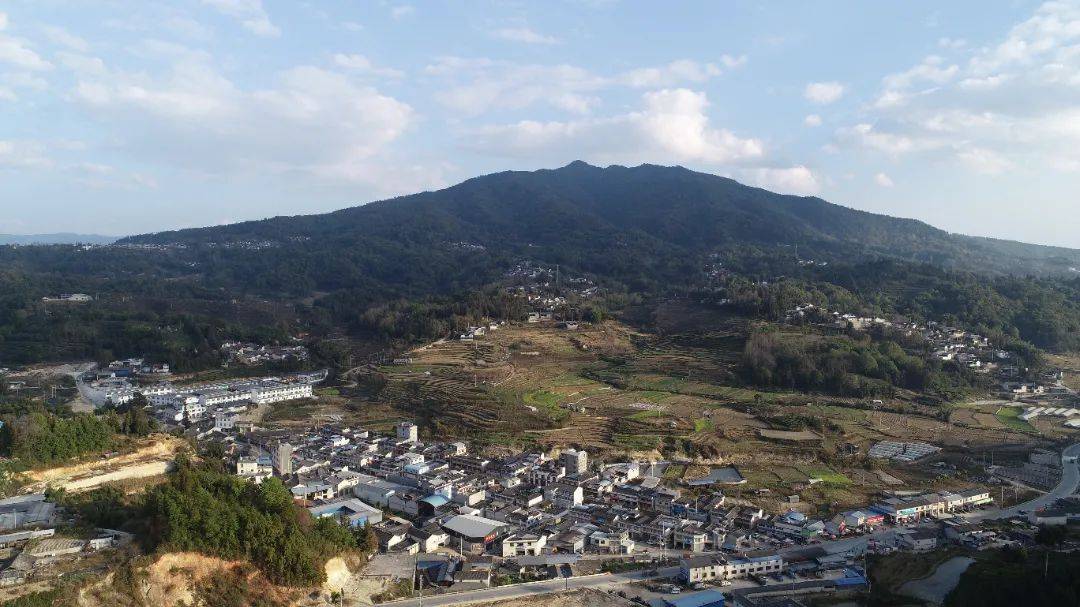 内心|【蒲川十二景】之清河茶山