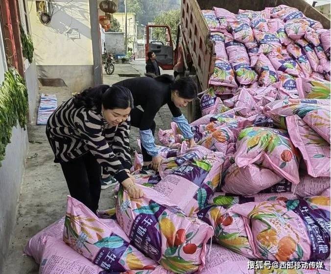 盐津县|盐津县高桥村:正是春耕时节，抢种鲜食玉米