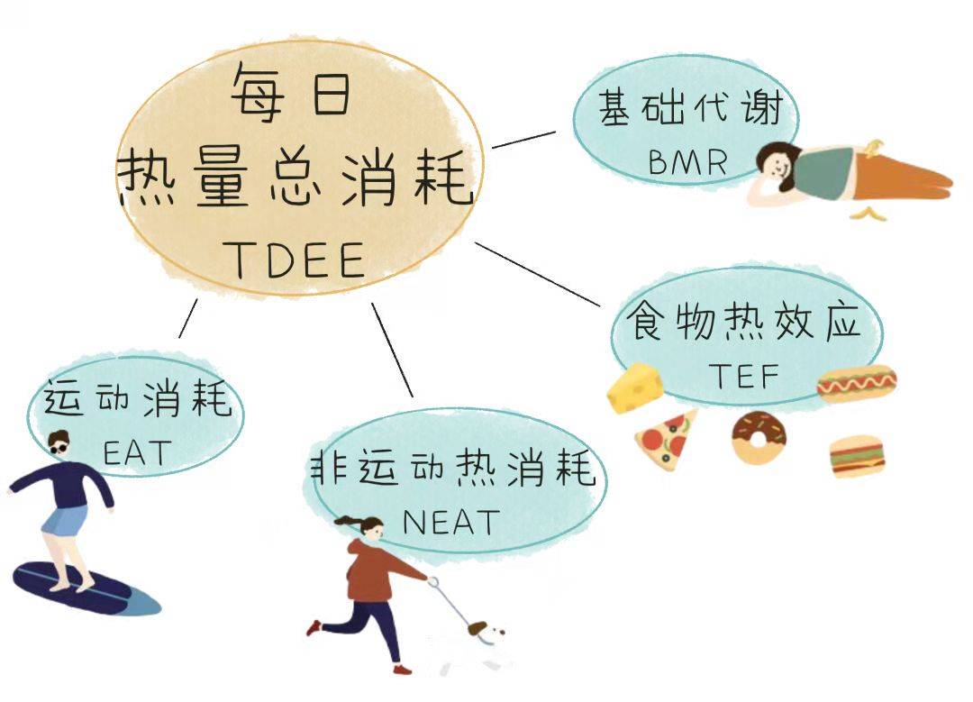 两者有何不同_运动_消耗_热量