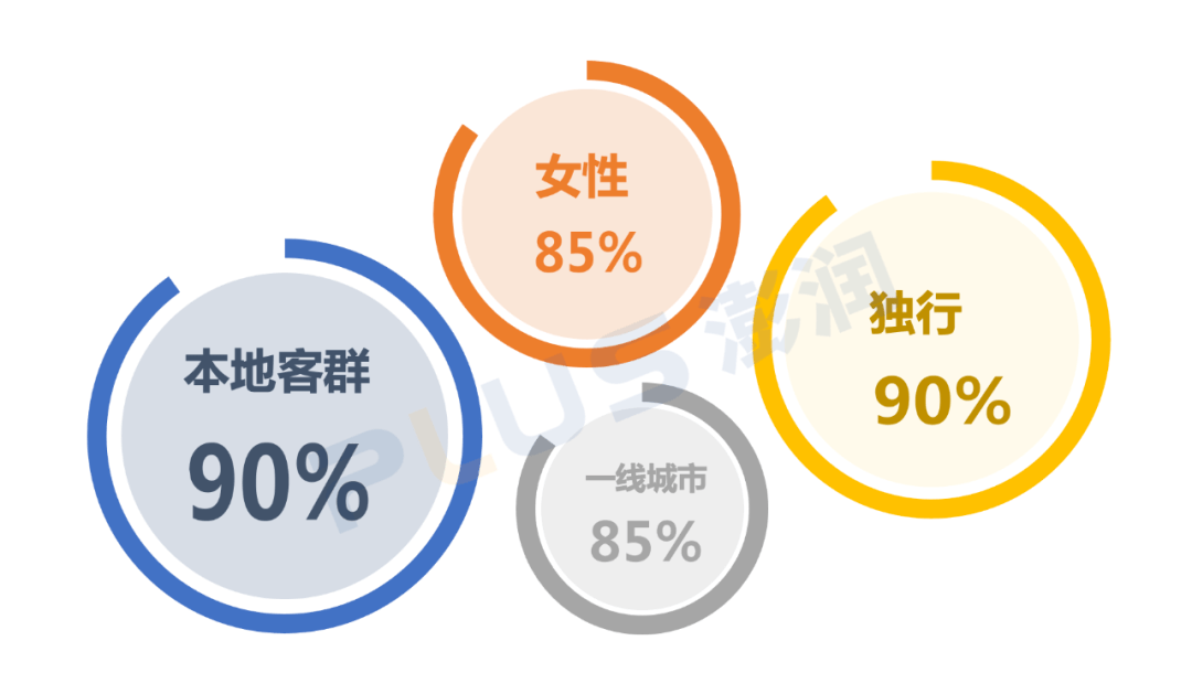 聚焦中国wellness客群金字塔模型